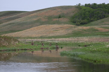 pipestone creek on rainy day