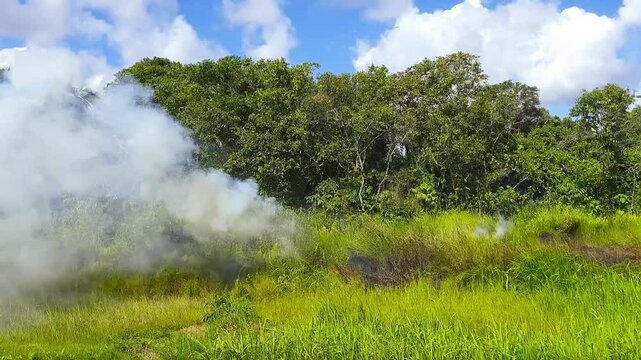 Smoke and Burnt Grass on Overgrown Field During Hot Dry Season