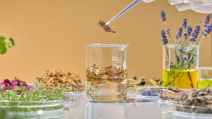 Use tweezers to pick up a sprig of dried herbs and drop them into the beaker to begin the process of creating a natural extract or skin care formula. Photo for advertising