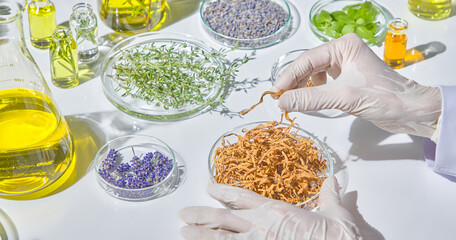 Assorted dried herbs, roots, and petals placed around glass containers and oils in a clean white research setup. The researcher's hand is picking up a herb and examining it.