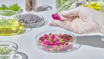 Layers of rose petals arranged in a science dish on a white table, surrounded by various herbs and oil bottles. Scientific research scene with herbs, commercial scene