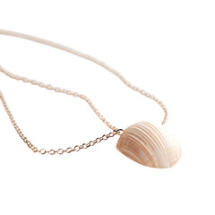 Elegant Minimalist Shell Necklace Featuring One Str Isolated on Transparent Background