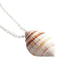 Trendy Minimalist Shell Necklace with a Single Natural Charm Isolated on Transparent Background