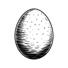 Hand Drawn Egg Illustration with Shading and Texture on White Background