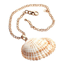 Elegant Boho Shell Necklace with a Single Elegant S Isolated on Transparent Background