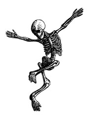 Hand drawn illustration of a human skeleton jumping with arms raised