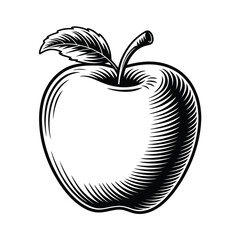 Engraved Apple Illustration Black and White Vintage Style Fruit Drawing
