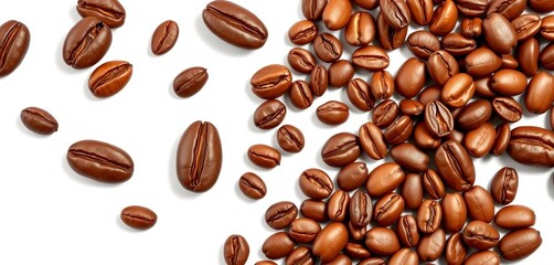 Isolated coffee beans set, vector illustration on white background,  beverage,  agriculture