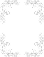 lily flower botanical frame and border	