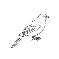Bird Outline Illustration: Simple, Elegant, Vector