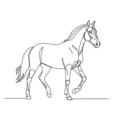 Elegant Horse Line Art: Minimalist Equestrian Design