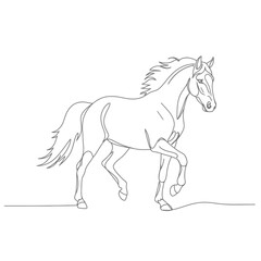 Elegant Horse Line Art - Minimalist Equine Illustration