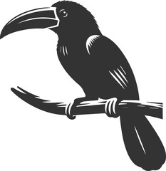 Vector bird toucan black drawing silhouette