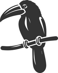 Vector bird toucan black drawing silhouette © MostAklima