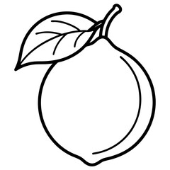 Orange vector illustration