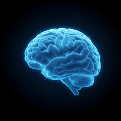 Fototapeta premium Stunning 3D Brain Image: High-Res Anatomy