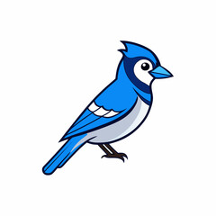blue bird isolated on white background
