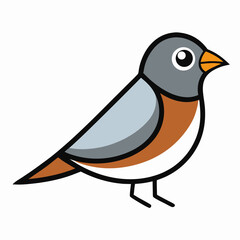 bird on a white background