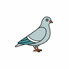 dove on white background