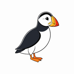cartoon bird on white background