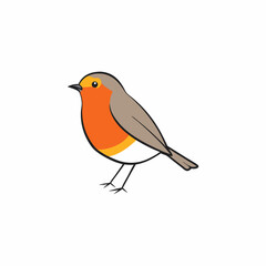 robin on a branch