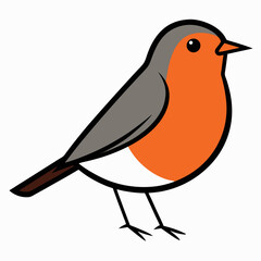 robin on a branch