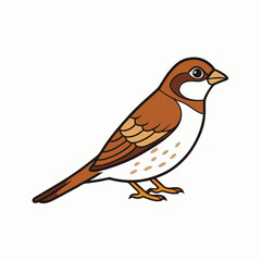 vector illustration of a bird