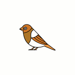 robin on a branch