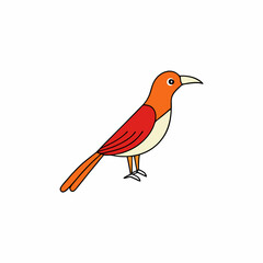 robin on a branch