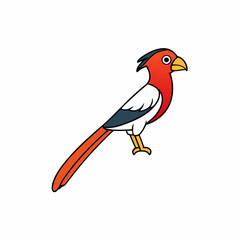 vector illustration of a bird