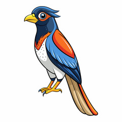 vector illustration of a cartoon bird