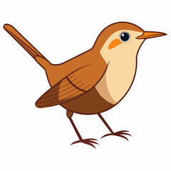 robin on a branch