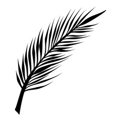 Vector palm Leave Silhouette icon. palm Leave logo design. Palm leaf Silhouette. Palm leave pictogram. Vector illustration
