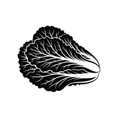 Black and white vector illustration of a Chinese cabbage vegetable