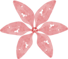 pink flower isolated on white