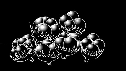Fluffy Strokes: Cotton Balls Plant Drawn with a Single Line