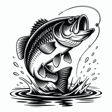 black and white bass fish jumping water clip art preview