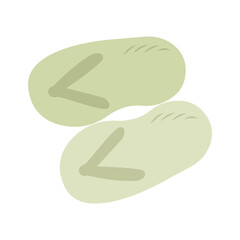 sandal vector illustration