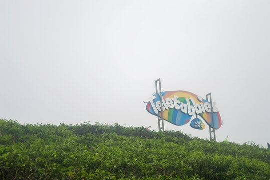A scenic view of Teletubbies Hill in Indonesia, 2 February 2025. Visitors are captivated by the vibrant, green landscape and the iconic Teletubbies sign amidst the misty surroundings