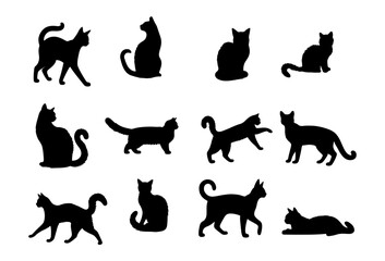 Vector illustration. Set of cats on a white background. Sticker for printing.