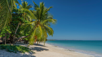Obraz premium Beautiful tropical sandy beach. A calm aquamarine ocean. Palm trees bent, shadows on the white sand. Crown leaves against a clear blue sky. Madagascar. Nosy Iranja. Copy space.