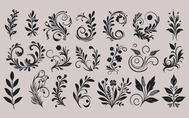 Elegant Botanical Ornaments Collection

