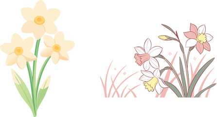 Naklejka premium Two daffodils arrangements spring floral bouquets delicate vector graphics flower design elements botanical illustrations simple pastel colors