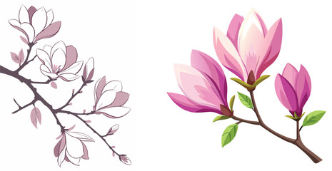 Fototapeta premium Vector illustration featuring magnolia flowers on branches in two styles pink and outline version isolated