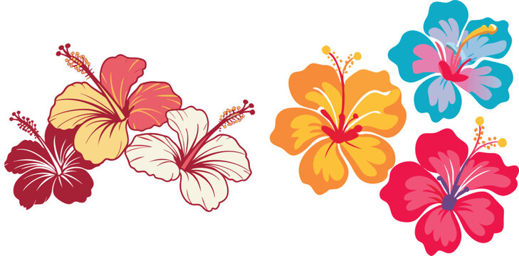 Vibrant hibiscus flowers in full bloom floral design for summer themes and tropical illustrations