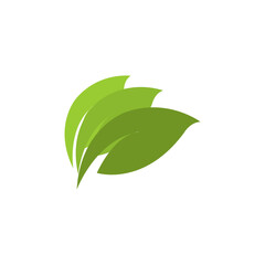 Leaf Vector Logo