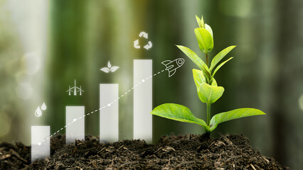 Green plant on soil with an icon of a rocket flying through the upward graph of renewable energy. Concept of renewable energy, environment, and ecology