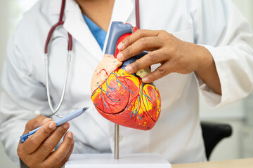 Cardiovascular disease CVD, Asian doctor holding human anatomy model for learn and treat heart...