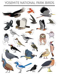 Yosemite National Park Birds Set Cartoon Vector Character