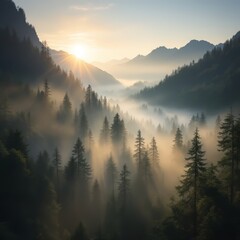 Obraz premium Foggy Mountain Landscape with Trees and Sunlight